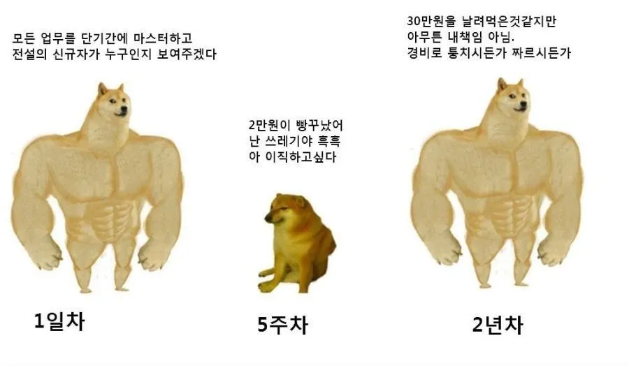 2022년 이직_01